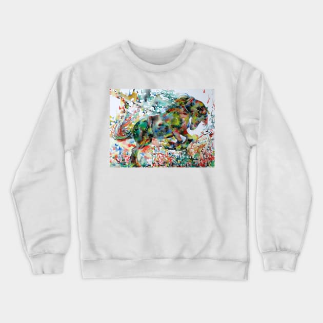 WATERCOLOR HORSE .1 Crewneck Sweatshirt by lautir